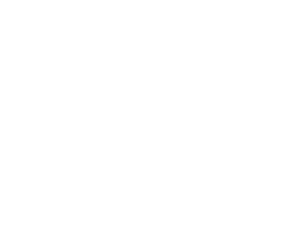 Child welfare professionals logo white